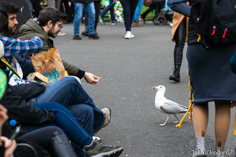 fotografia dokumentalna, documentary photography, Dublin, Irlandia, Photo: Julia Chodor