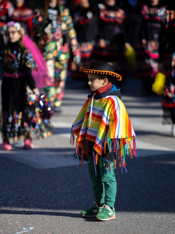 Carnival of Venice, parade, karnawał w Wenecji, parada 