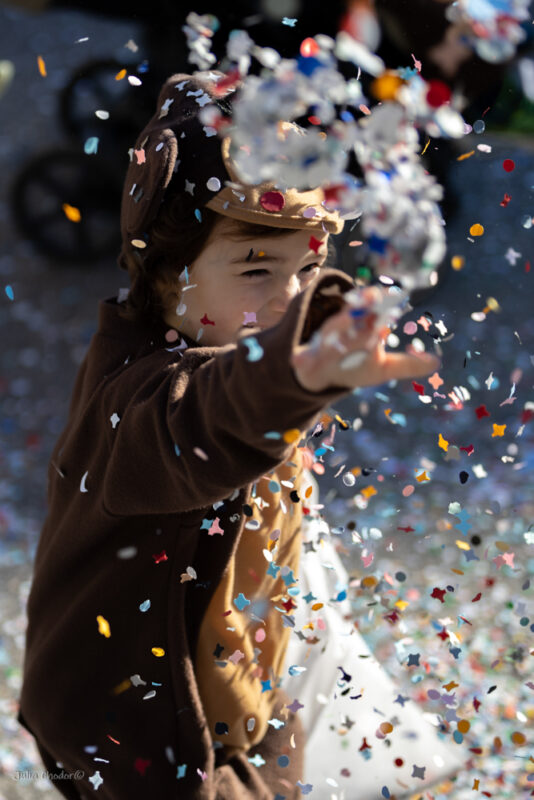 Carnival of Venice, parade, karnawał w Wenecji, parada 