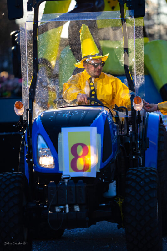 Carnival of Venice, parade, karnawał w Wenecji, parada 