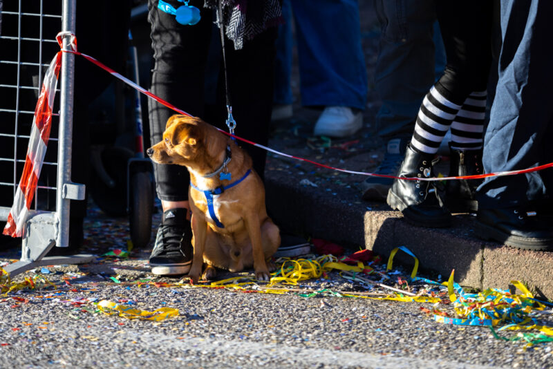 Carnival of Venice, parade, karnawał w Wenecji, parada 