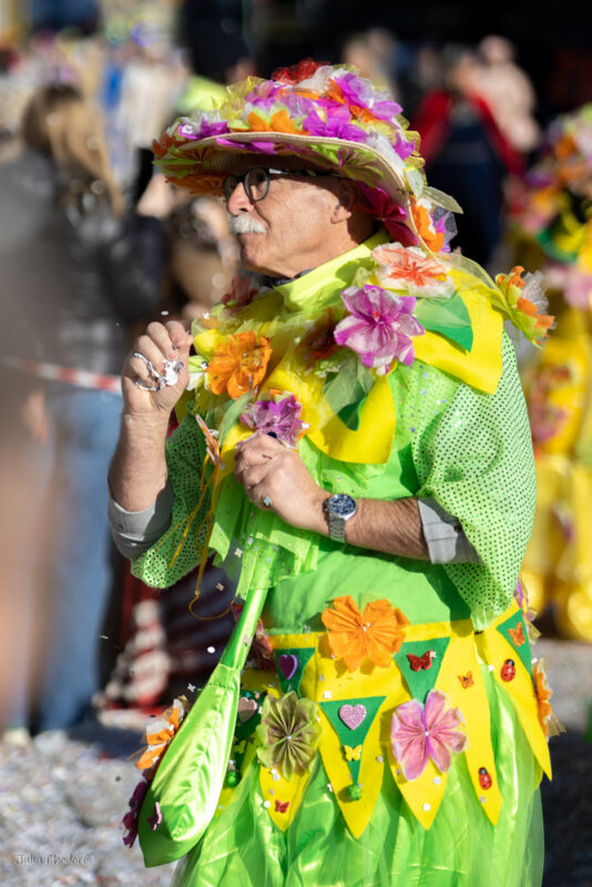 Carnival of Venice, parade, karnawał w Wenecji, parada 