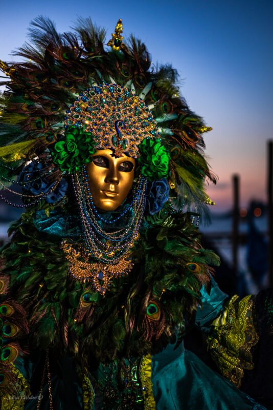 Carnival of Venice, karnawał w Wenecji, carnival costumes, stroje karnawalowe, masqueraders, przebierańcy, maskarada