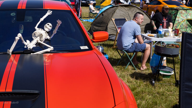 American Cars Mania, zlot amerykańskich samochodów, zabytkowe samochody, American cars fans' meeting, classic car, 2025, Julia Chodor