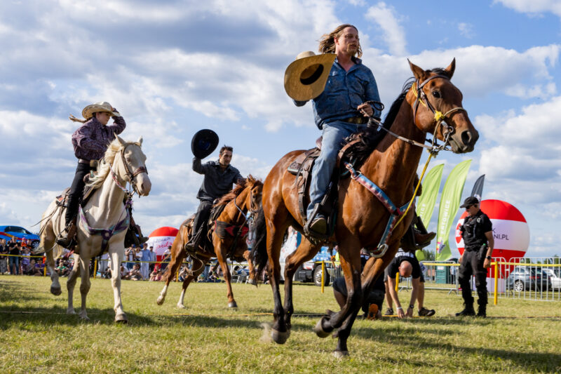 American Cars Mania, zlot amerykańskich samochodów, zabytkowe samochody, American cars fans' meeting, classic car, 2025, Julia Chodor